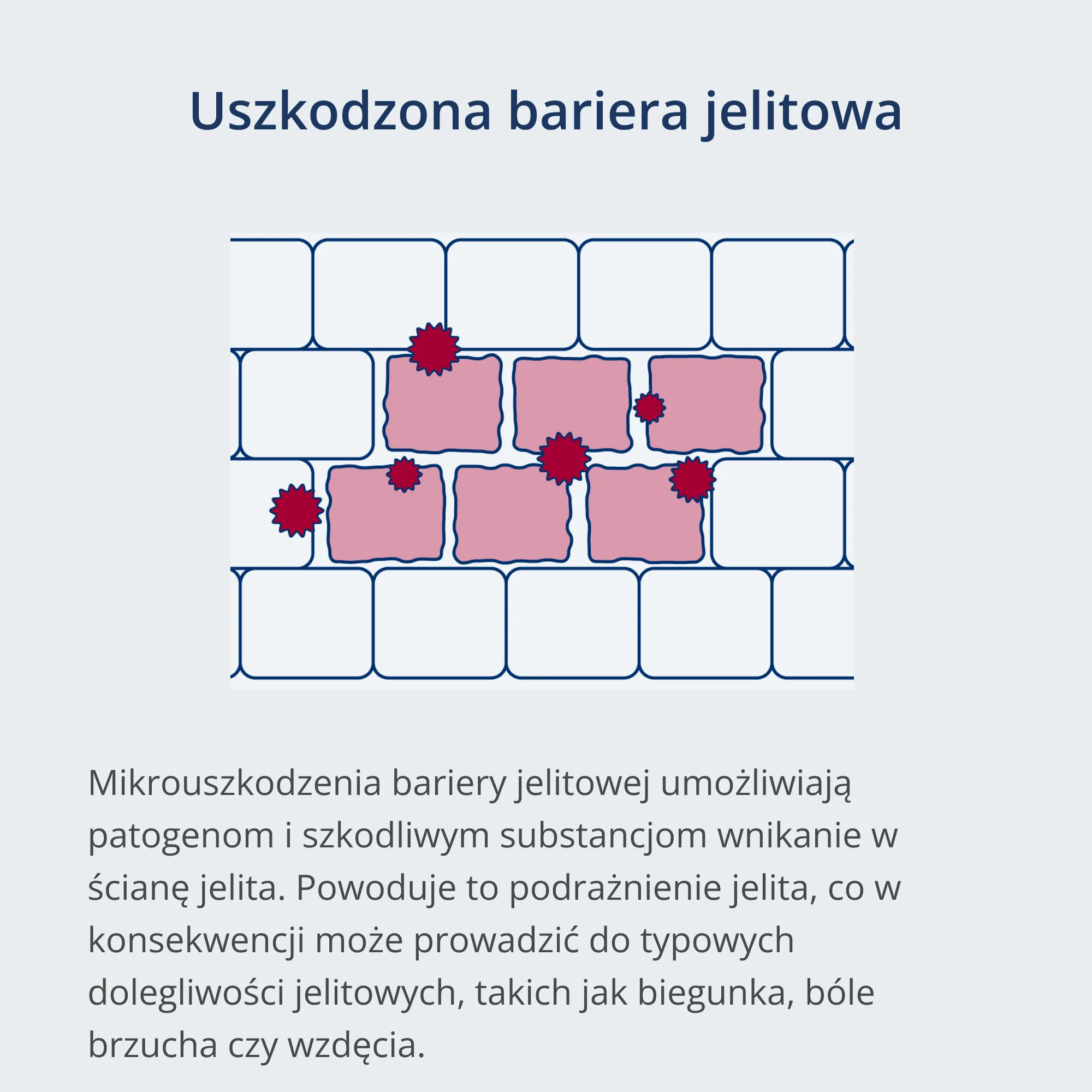Kijimea IBS PRO - Image 5